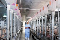 Các doanh nghiệp chăn nuôi đầu tư quy mô lớn, ứng dụng công nghệ hiện đại.