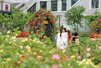 Đông đảo du khách tham quan khu du lịch Sun World Fansipan Legend (Sa Pa). 