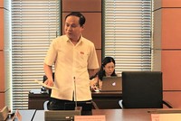 Đại biểu Nguyễn Bắc Việt (Ninh Thuận) phát biểu tại tổ - (Ảnh Mỹ An)