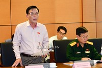 Đại biểu Nguyễn Hồng Vân (Phú Yên) phát biểu tại tổ.