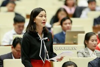 Đại biểu Nguyễn Thị Xuân (Đắc Lắk) phát biểu tại hội trường. 