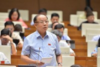 Chủ tịch Hiệp hội Doanh nghiệp nhỏ và vừa Việt Nam, đại biểu Nguyễn Văn  Thân (Thái Bình) phát biểu tại hội trường.