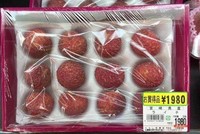 Ngày hôm nay 19/6, 1 tấn vải tươi đầu tiên sẽ được xuất khẩu sang Nhật Bản bằng đường hàng không.