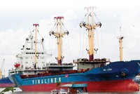 Vinalines sẽ tổ chức Đại hội cổ đông trong tháng 8/2020.