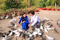 Hàng trăm chú chim bồ câu thân thiện vây quanh du khách.