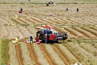 Huyện Phú Hòa đã đẩy mạnh ứng dụng cơ giới hóa trong sản xuất nông nghiệp.