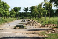 Ảnh: Thành Nguyễn