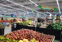 Khi EVFTA có hiệu lực và thuế quan bắt đầu giảm, sẽ là cơ hội lớn cho các nhà xuất khẩu Việt Nam tăng thị phần.