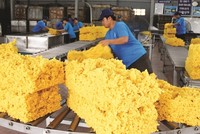 Công ty lý giải sự tăng trưởng này là do lợi nhuận cốt lõi cho thuê đất khu công nghiệp tăng lên, lãi tiền gửi ngân hàng tăng và khoản tiền đền bù đất cho dự án KCN Nam Tân Uyên mở rộng số tiền 300 tỷ đồng.