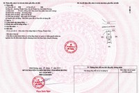 Sổ đỏ cấp cho đất phân lô, bán nền được bên môi giới giới thiệu