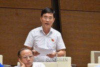 Ông Hoàng Quang Hàm phát biểu tại nghị trường.