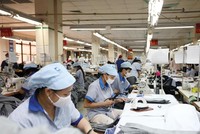 Thực thi EVFTA, ngành dệt may có lợi thế lớn, nhưng vướng mắc ở khâu nguyên liệu chưa chủ động được. Ảnh: Đức Thanh