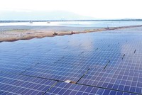Cánh đồng điện mặt trời tại Ninh Thuận.