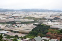 Lâm Đồng phát triển dựa trên định hướng công nghiệp chế biến nông, lâm, thủy sản, phân bón và sản xuất phân phối điện, khí đốt