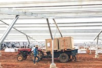 Có sự nở rộ đầu tư điện mặt trời tại các trang trại nông nghiệp ở Ninh Thuận, Bình Thuận, Đắk Nông... Ảnh: Thanh Hương