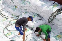 Cục Xuất nhập khẩu (Bộ Công thương) cho biết, Việt Nam không phân bổ hạn ngạch gạo, mà EU sẽ phân bổ trực tiếp cho các doanh nghiệp nhập khẩu phía họ.