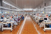 May Sông Hồng vững nội lực vượt qua khó khăn ngắn hạn