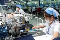 Từ năm 2017 đến nay, cả nước mới thoái được vốn tại 102 đơn vị.