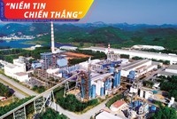 Giấy An Hòa không chỉ đầu tư công nghệ sản xuất hiện đại mà chú trọng tới việc phát triển vùng nguyên liệu giấy