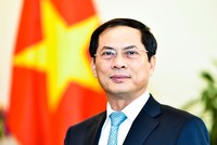 Ông Bùi Thanh Sơn, Ủy viên Trung ương Đảng, Bí thư Đảng ủy, Thứ trưởng Thường trực Bộ Ngoại giao.