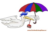 Thị trường bất động sản, phía sau đâu có màu hồng