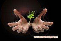 Tăng trưởng xanh, không còn con đường nào khác