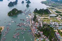 Kỳ vọng thể chế vượt trội cho “tổ phượng hoàng”