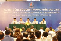 ĐHCĐ Viglacera: Cạnh tranh vật liệu xây dựng ngoài dự đoán