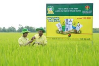 Lợi thế thị trường giúp Đạm Cà Mau hoàn thành vượt mức các chỉ tiêu tài chính 9 tháng