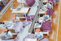 May Sông Hồng đặt kế hoạch cổ tức 35-45% năm 2019