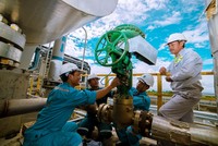 NPK Cà Mau gia nhập thị trường phân bón chất lượng cao