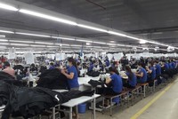 TNG: Lợi nhuận sau thuế tháng 7 tăng 47%