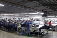 TNG báo lãi 81,2 tỷ đồng trong quý III, tăng 28% so với cùng kỳ