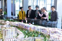 Emerald đang thu hút sự quan tâm của nhiều khách hàng, nhà đầu tư.