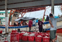 Tham quan cảng cá Tắc Cậu, Kiên Giang