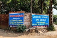 Rất có thể đây là chiêu trò của giới cò đất tại Hòa Lạc để đẩy hàng, tăng giá. Ảnh: Thành Nguyễn.