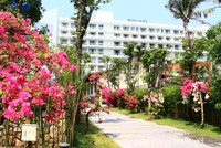 Các doanh nghiệp địa ốc nên chuẩn bị kế hoạch phản ứng theo từng giai đoạn để đảm bảo duy trì tốt hoạt động kinh doanh. Ảnh: Thành Nguyễn.