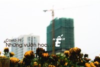 Ảnh: Thành Nguyễn.