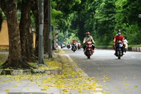 Hà Nội đang trong những ngày Thu đẹp nhất.