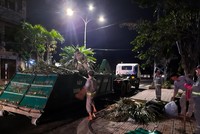 Hình ảnh người dân Quảng Ngãi nỗ lực khắc phục hậu quả bão số 9