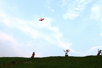 Chiều quê. Ảnh: Thành Nguyễn.