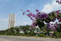 Giãn cách xã hội đã khiến thị trường cả quý trầm lắng hơn hẳn quý 2. Ảnh: Thành Nguyễn.