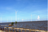 Điện gió ngoài khơi Việt Nam vẫn chưa phát huy hết tiềm năng.
