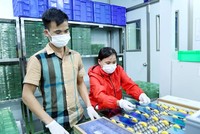 Ngành công nghiệp Vĩnh Phúc vẫn duy trì tăng trưởng ổn định. Ảnh: Internet.