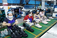 Vĩnh Phúc đang nỗ lực cải thiện các chỉ số thành phần PCI. 