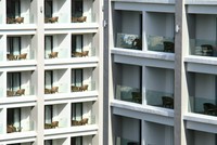 Ảnh: Thành Nguyễn.