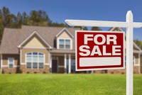 Ảnh: Shutterstock.