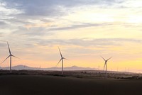 Việt Nam đang có ngày càng nhiều các dự án điện gió. Ảnh: Thành Nguyễn.