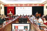 Khu vực Bắc Âu đã triển khai nhiều chính sách và sáng kiến để thúc đẩy phát triển bền vững.