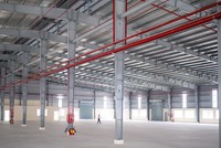 Ảnh: Thành Nguyễn.